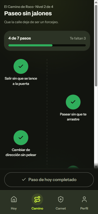 Su Camino completo, paso a paso